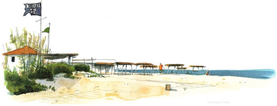 Club 55's beach in watercolor, the house's own visual identity